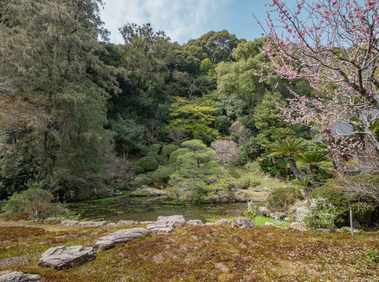 本興寺_庭園