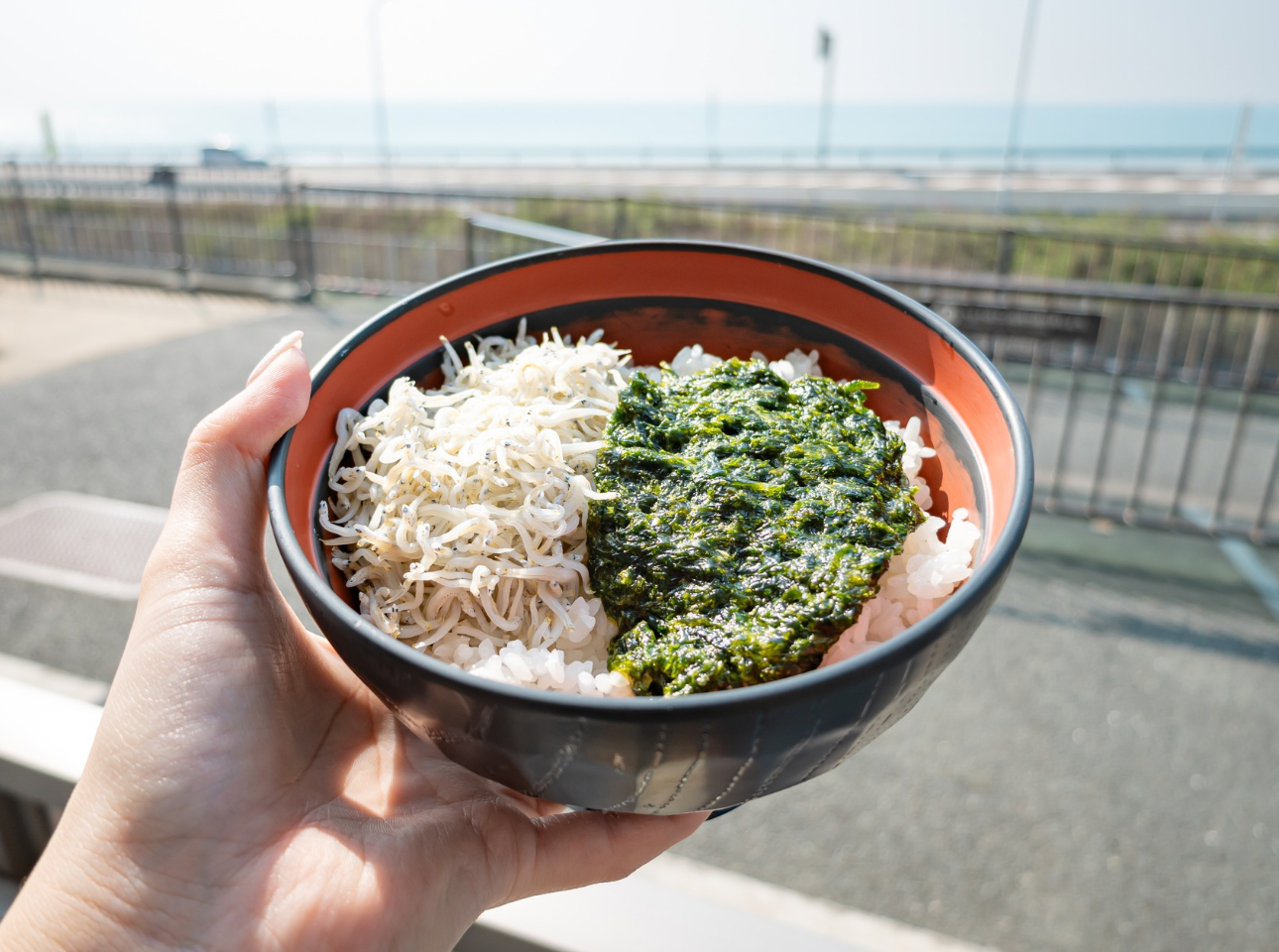 道の駅潮見坂レストラン_生海苔しらす丼