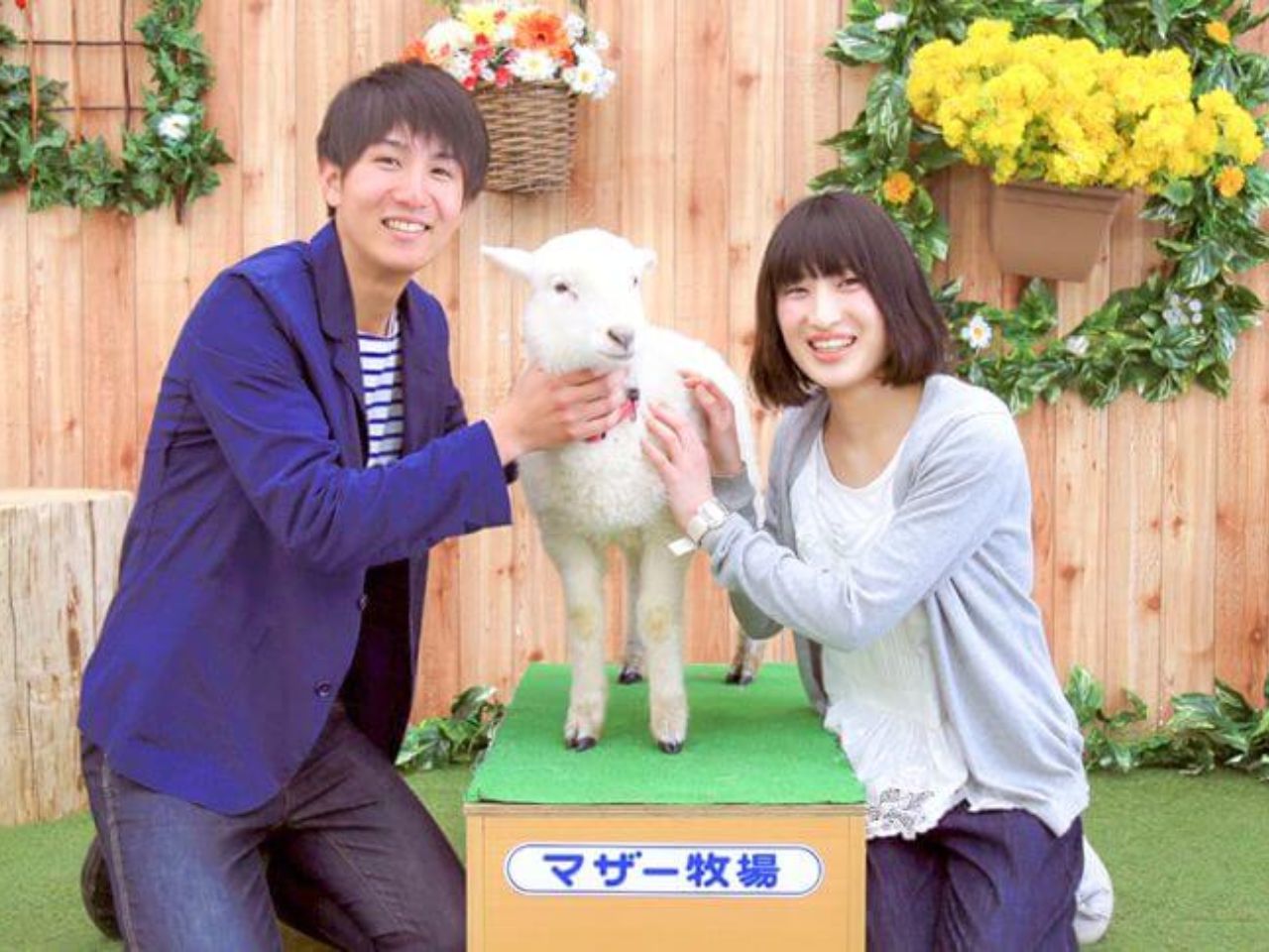 生まれたばかりの赤ちゃん羊にゴールデンウィークはマザー牧場へGO