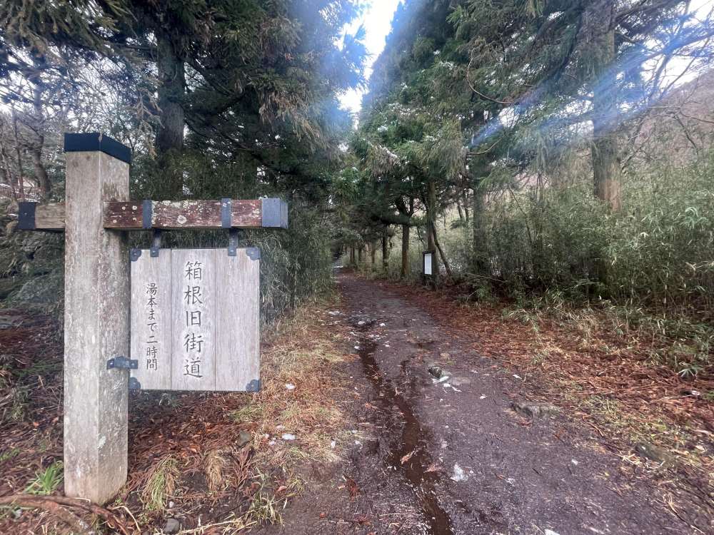 箱根旧街道