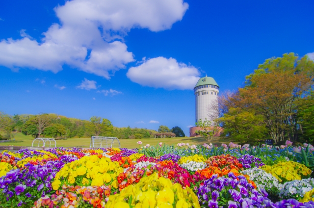 那須野が原公園_観光