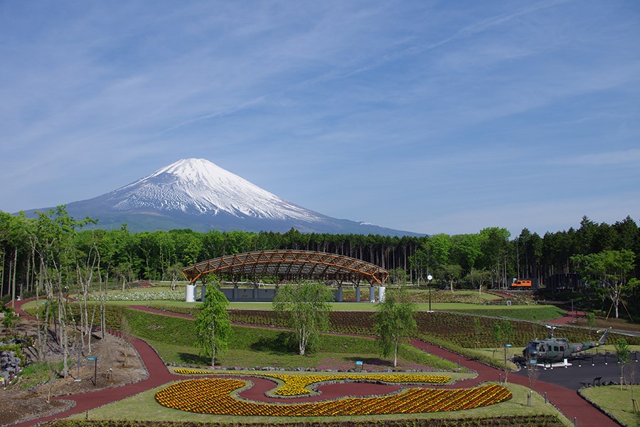 静岡_富士山樹空の森