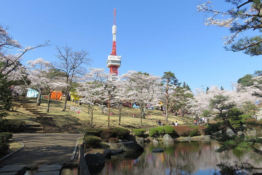 八幡山公園
