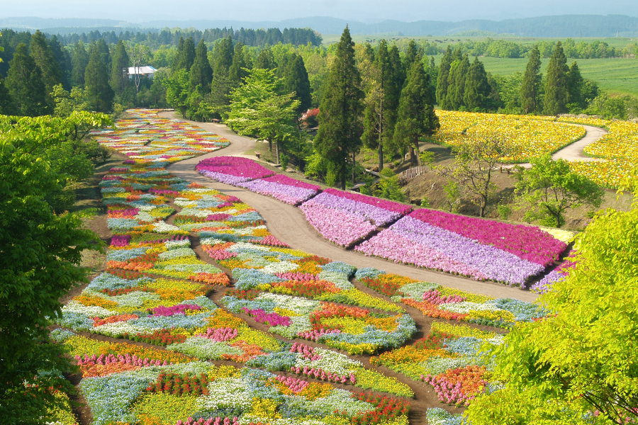 くじゅう公園