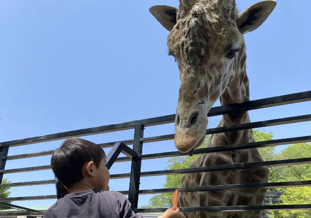 宇都宮動物園