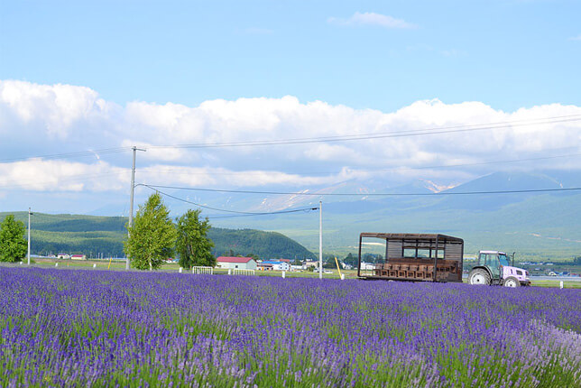 ファーム富田