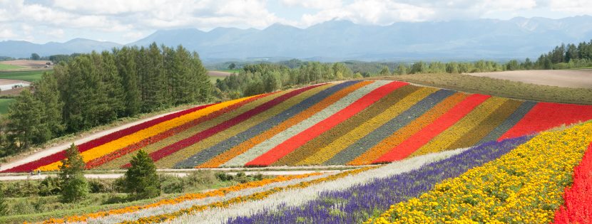 北海道　観光