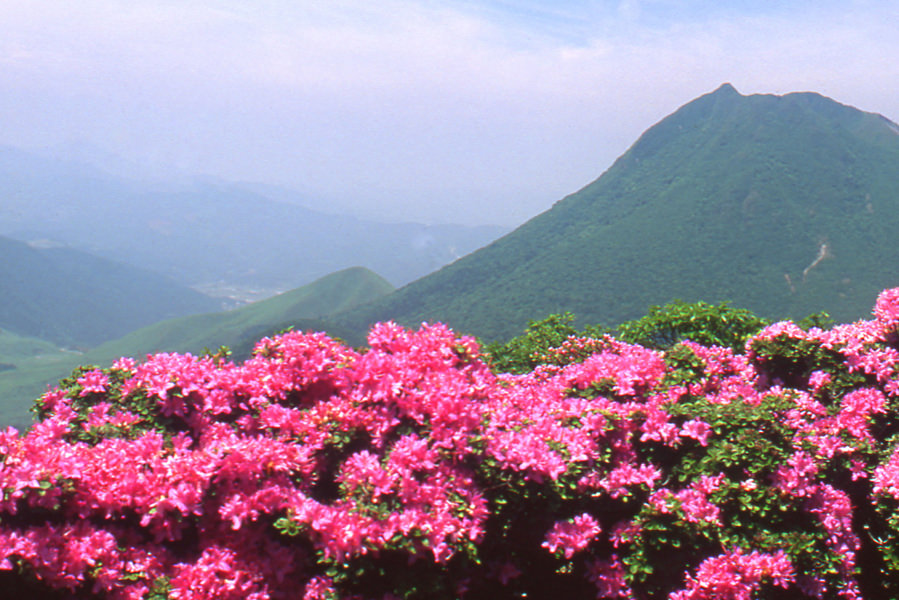 牧の戸峠