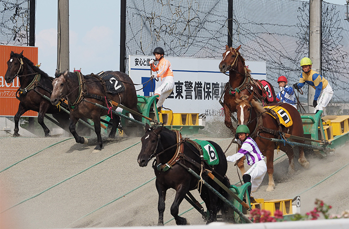 帯広競馬場