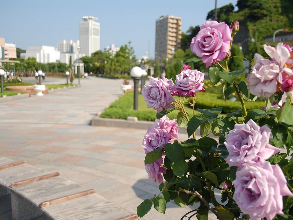 横須賀のヴェルニー公園
