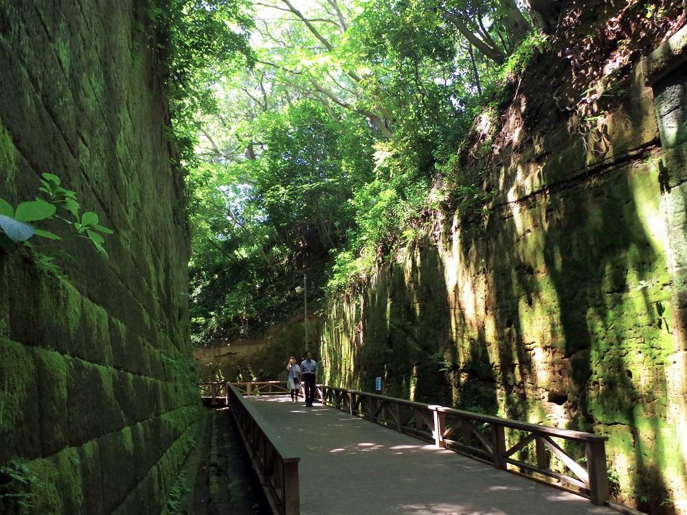 横須賀の猿島