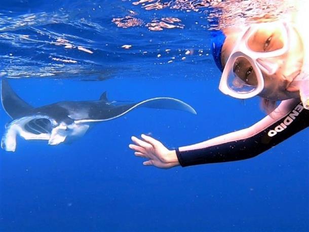 おすすめポイント