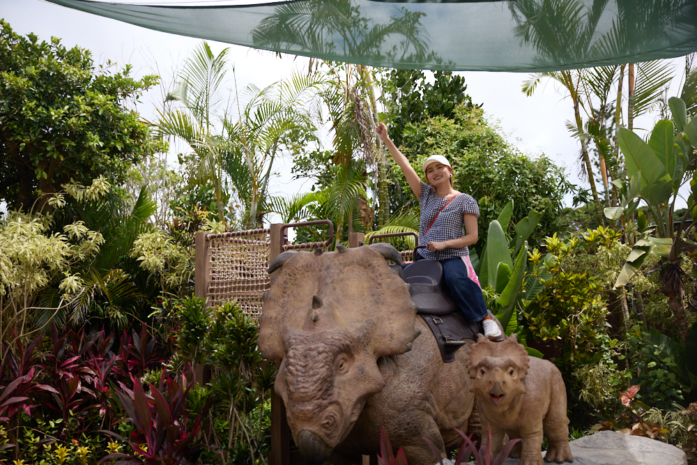 FINDING DINOSAURS