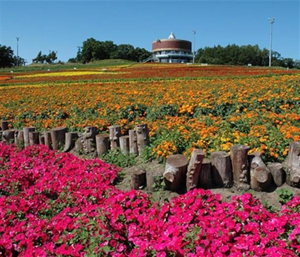おすすめポイント