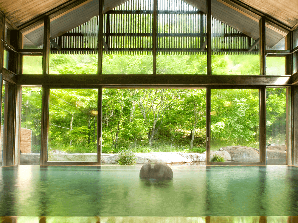 星野温泉 トンボの湯