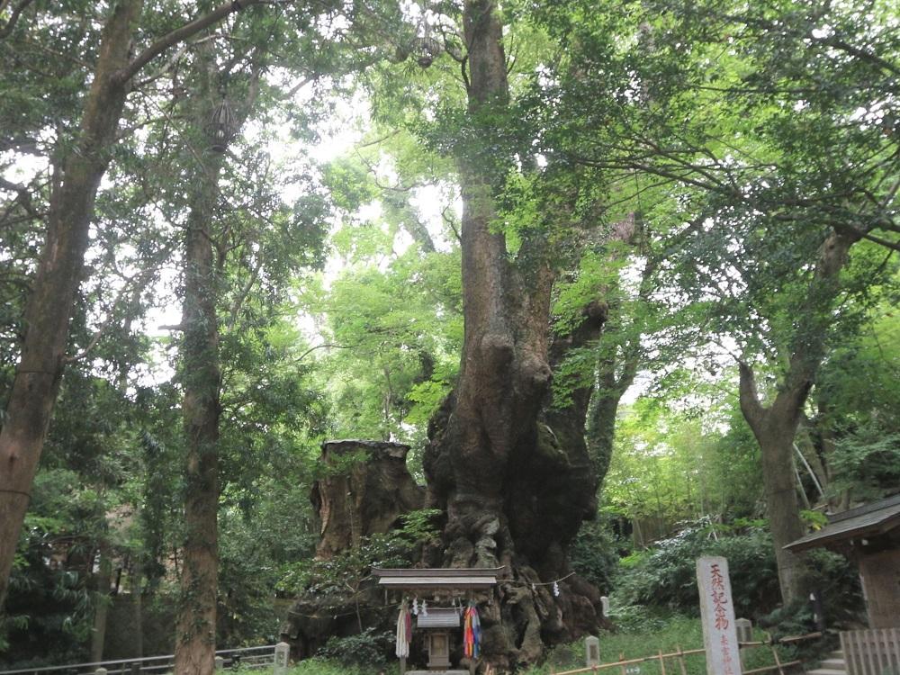 來宮神社