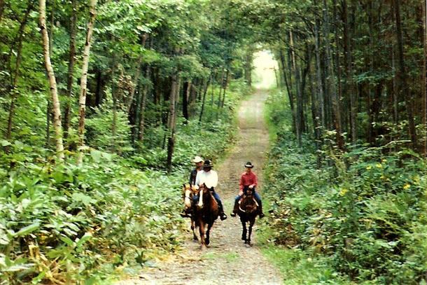 おすすめポイント