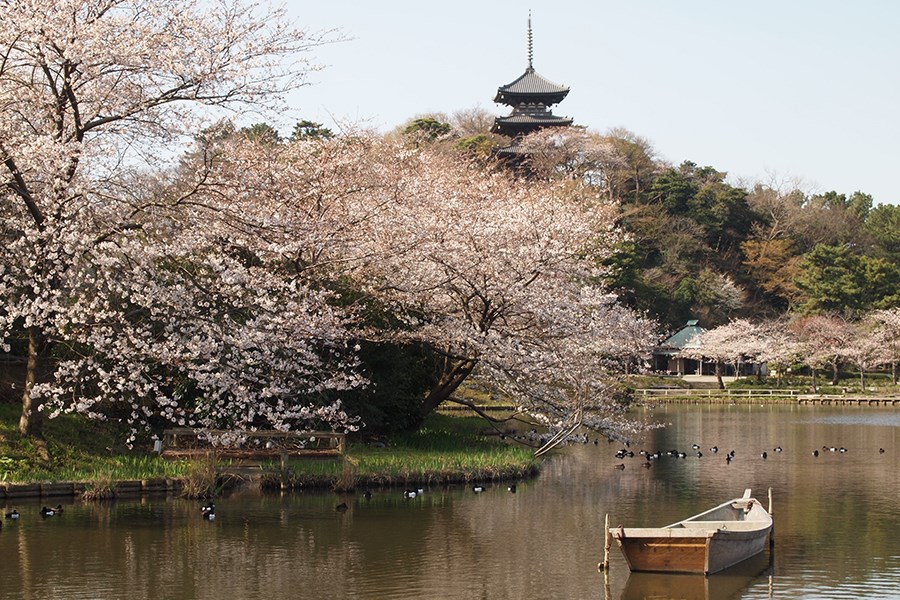 三溪園