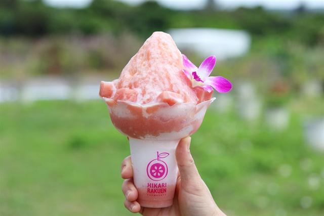 石垣島　光楽園　ジェラート