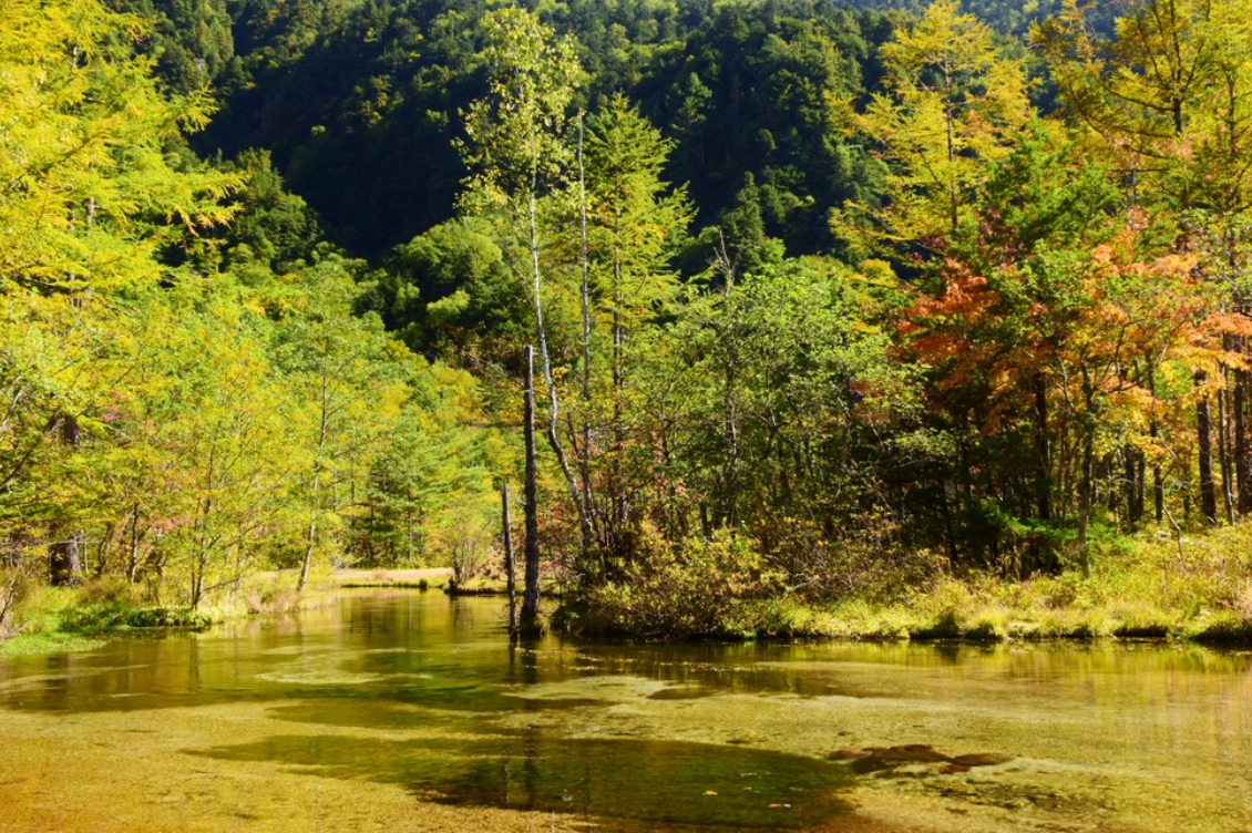 長野_松本_田代湿原_田代池
