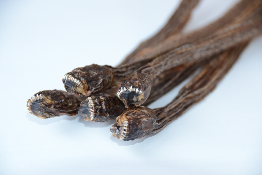 夜明茶屋「干しワラスボ」