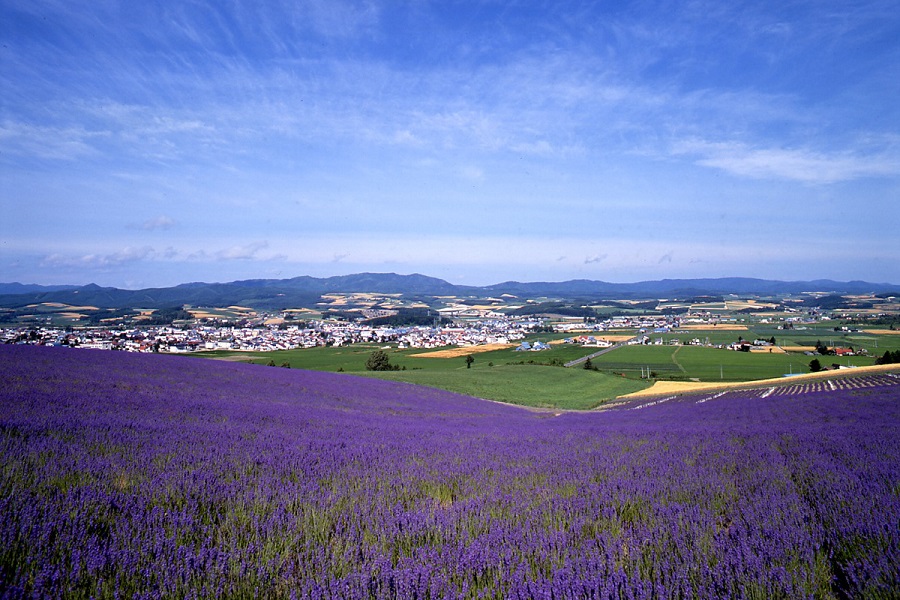 富良野・美瑛ノロッコ号