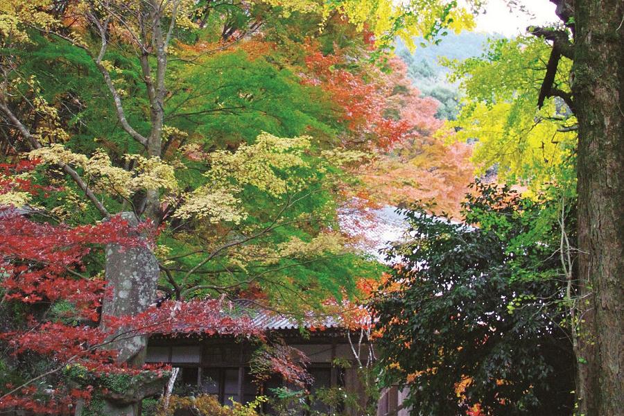 長安寺