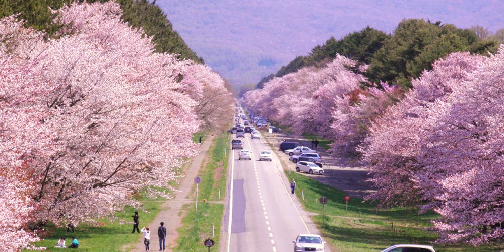 二十間道路