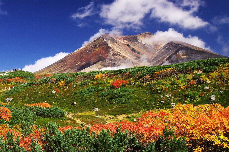 大雪山　紅葉