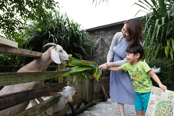 OKINAWAフルーツらんどで動物と触れ合う様子
