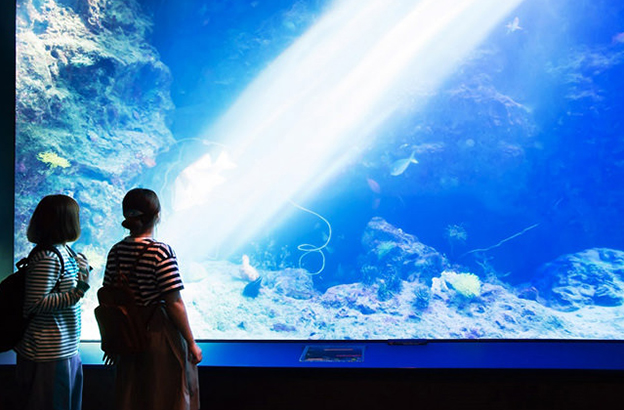 沖縄美ら海水族館の館内