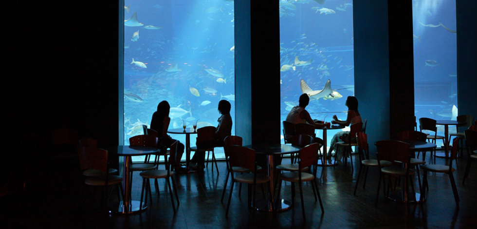 沖縄美ら海水族館のレストラン