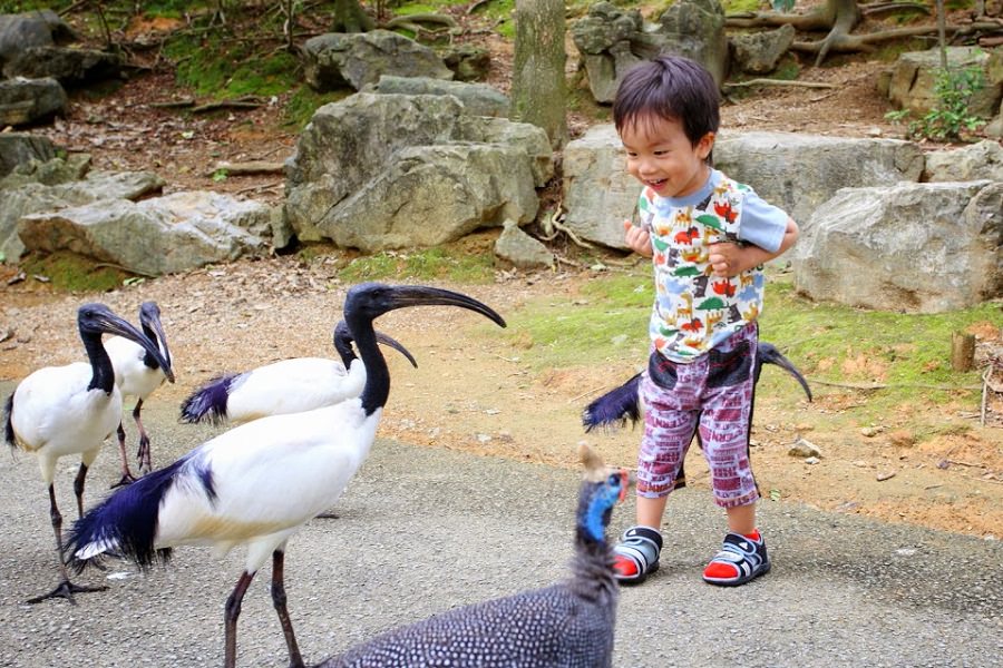 ネオパークオキナワ