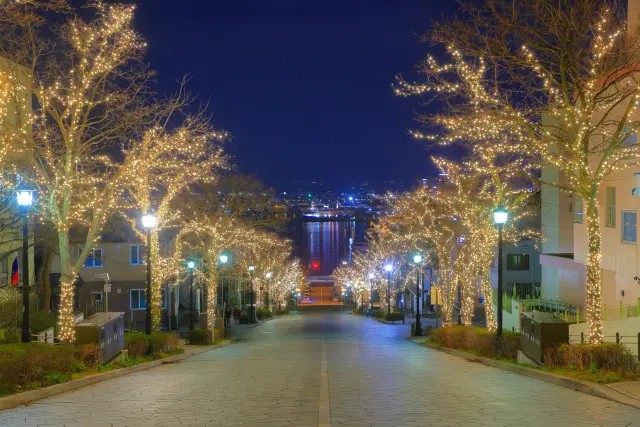 はこだてイルミネーション