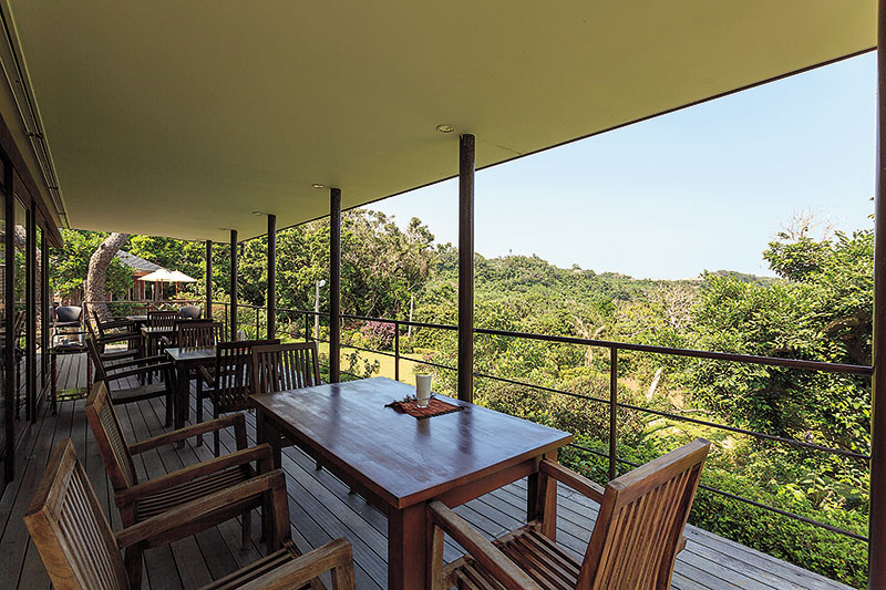 cafe 森のテラス