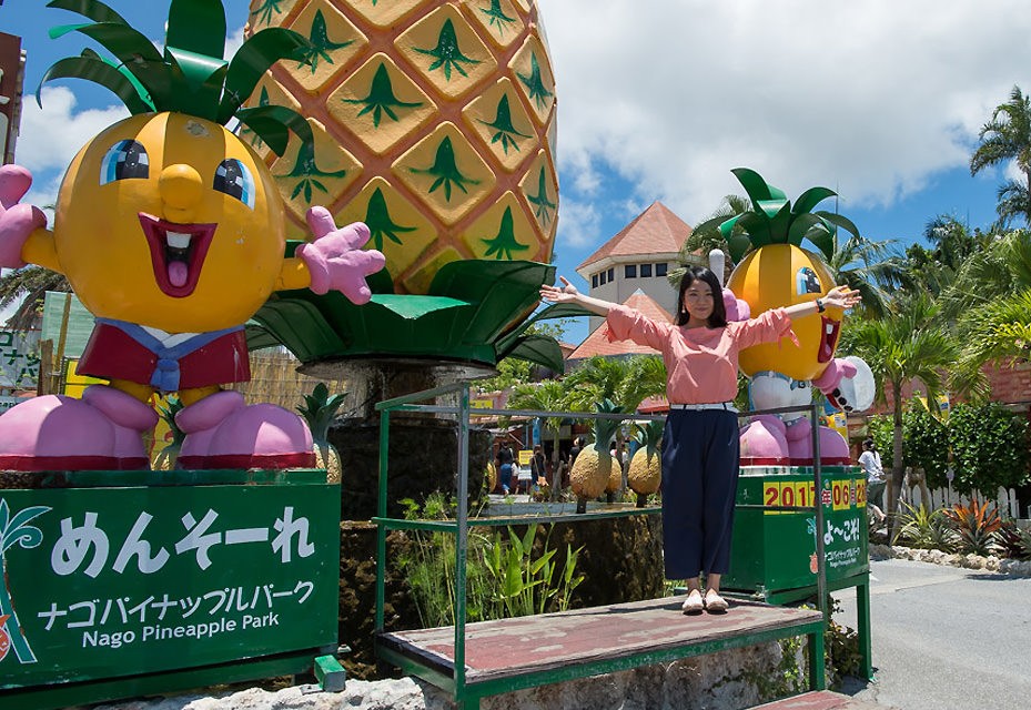 子どもも大人も楽しめる「ナゴパイナップルパーク」