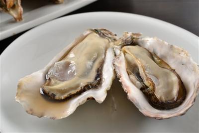 唐泊恵比須牡蠣