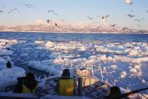 知床羅臼の流氷クルーズ