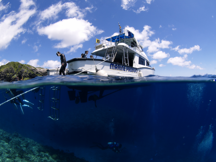 21年最新 沖縄 シュノーケリングおすすめツアー比較 予約 たびらい沖縄アクティビティ 21年最新 沖縄 シュノーケリングおすすめツアー比較 予約 たびらい沖縄アクティビティ