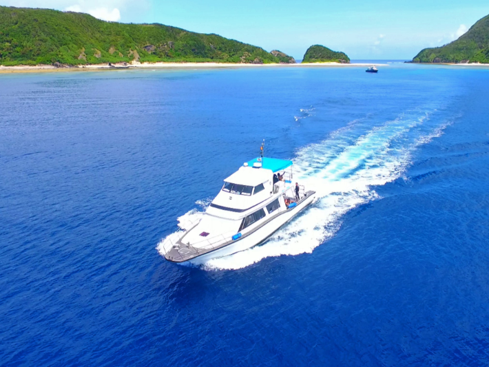 22年最新 慶良間諸島ダイビングおすすめツアー比較 予約 最低価格保証 たびらい沖縄 22年最新 慶良間諸島ダイビングおすすめツアー比較 予約 最低価格保証 たびらい沖縄