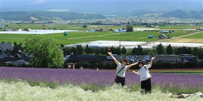 ファーム富田
