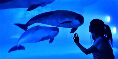 おたる水族館