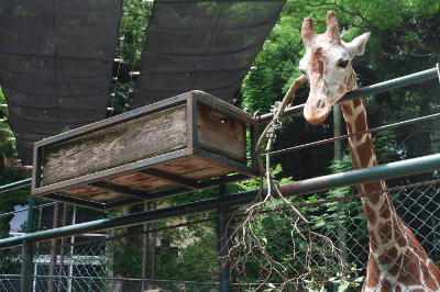 福岡市動植物園