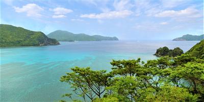 奄美大島
