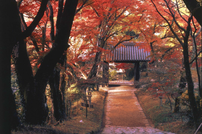 秋月城下町