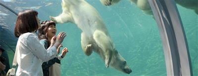 ホッキョクグマ館