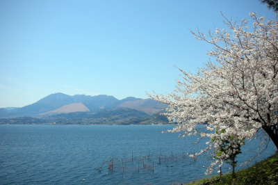 城下町・日出