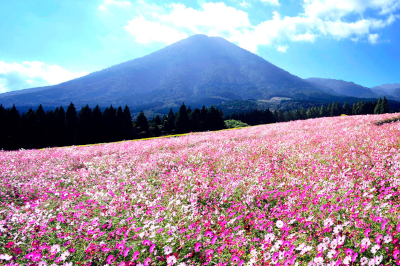 生駒高原