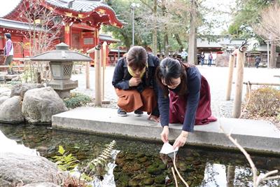秩父神社　水占い