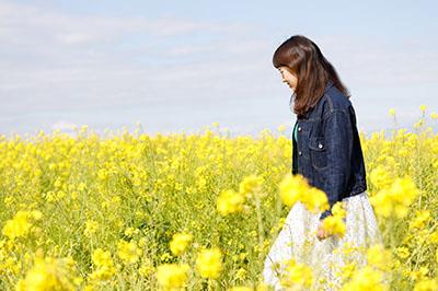 ソレイユの丘菜の花